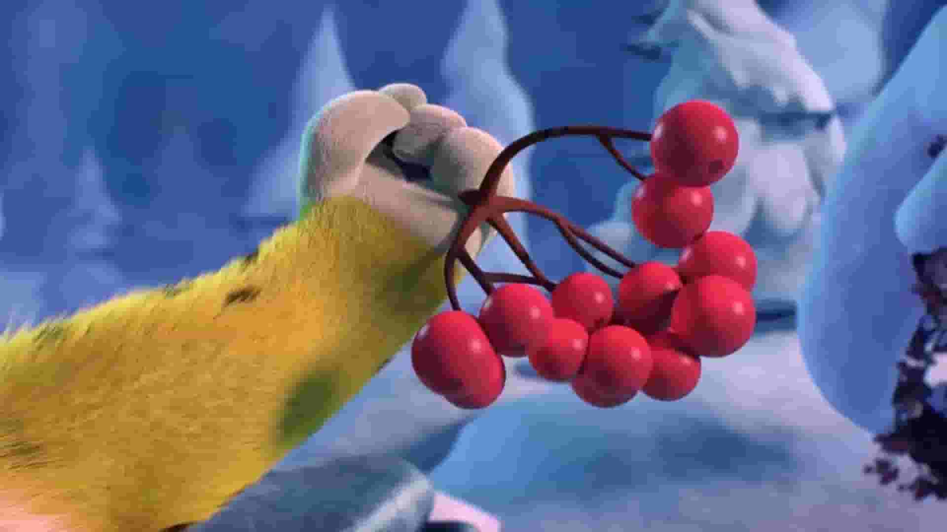 پخش فیلم