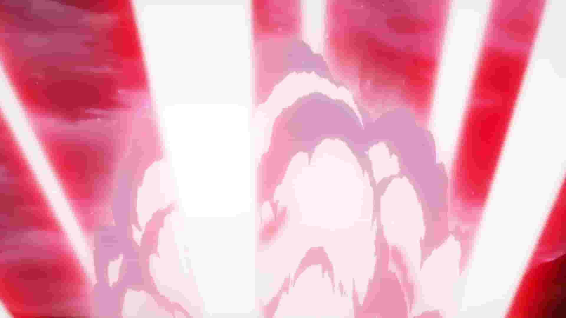 پخش فیلم