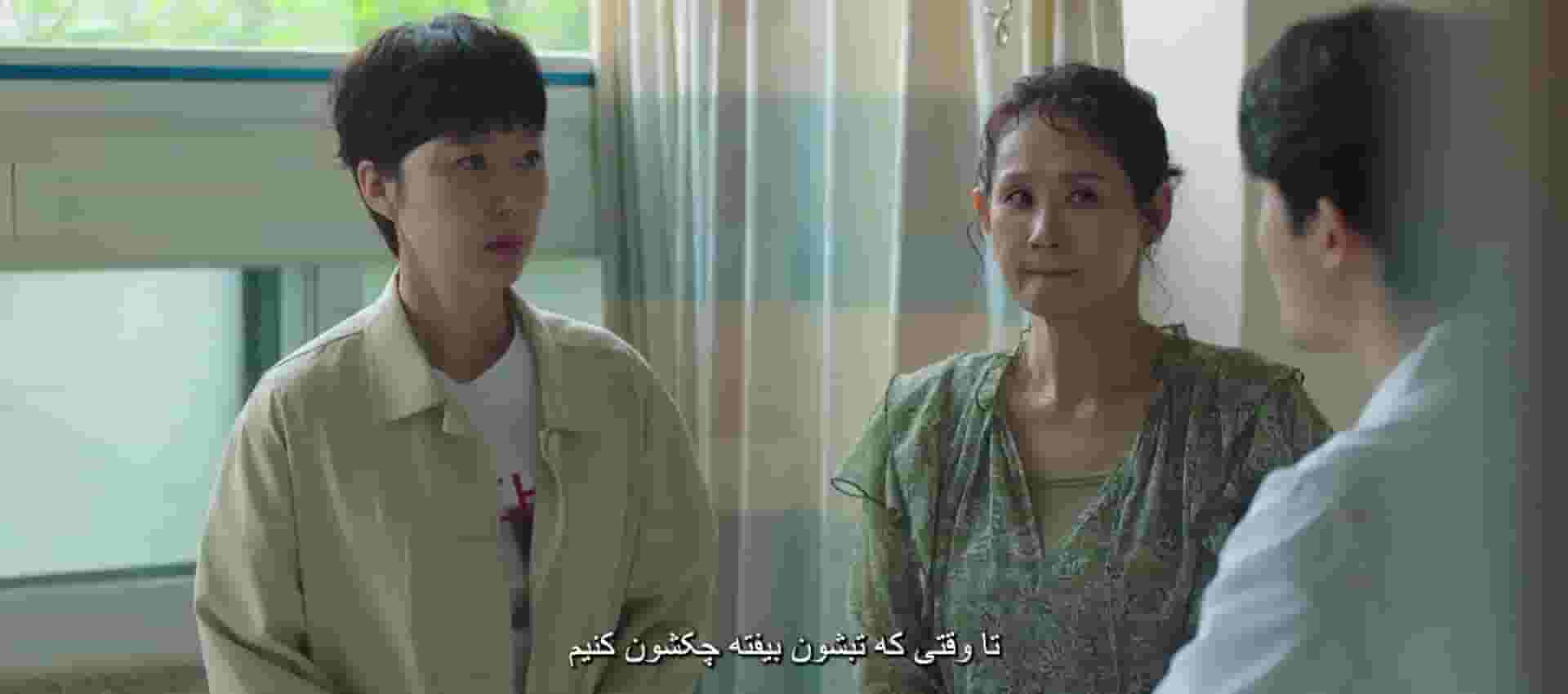 پخش فیلم