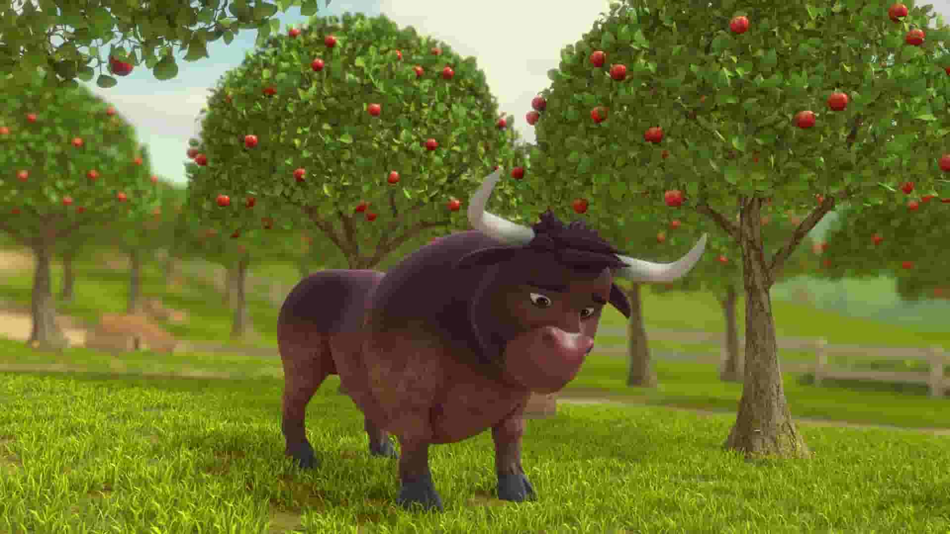 پخش فیلم