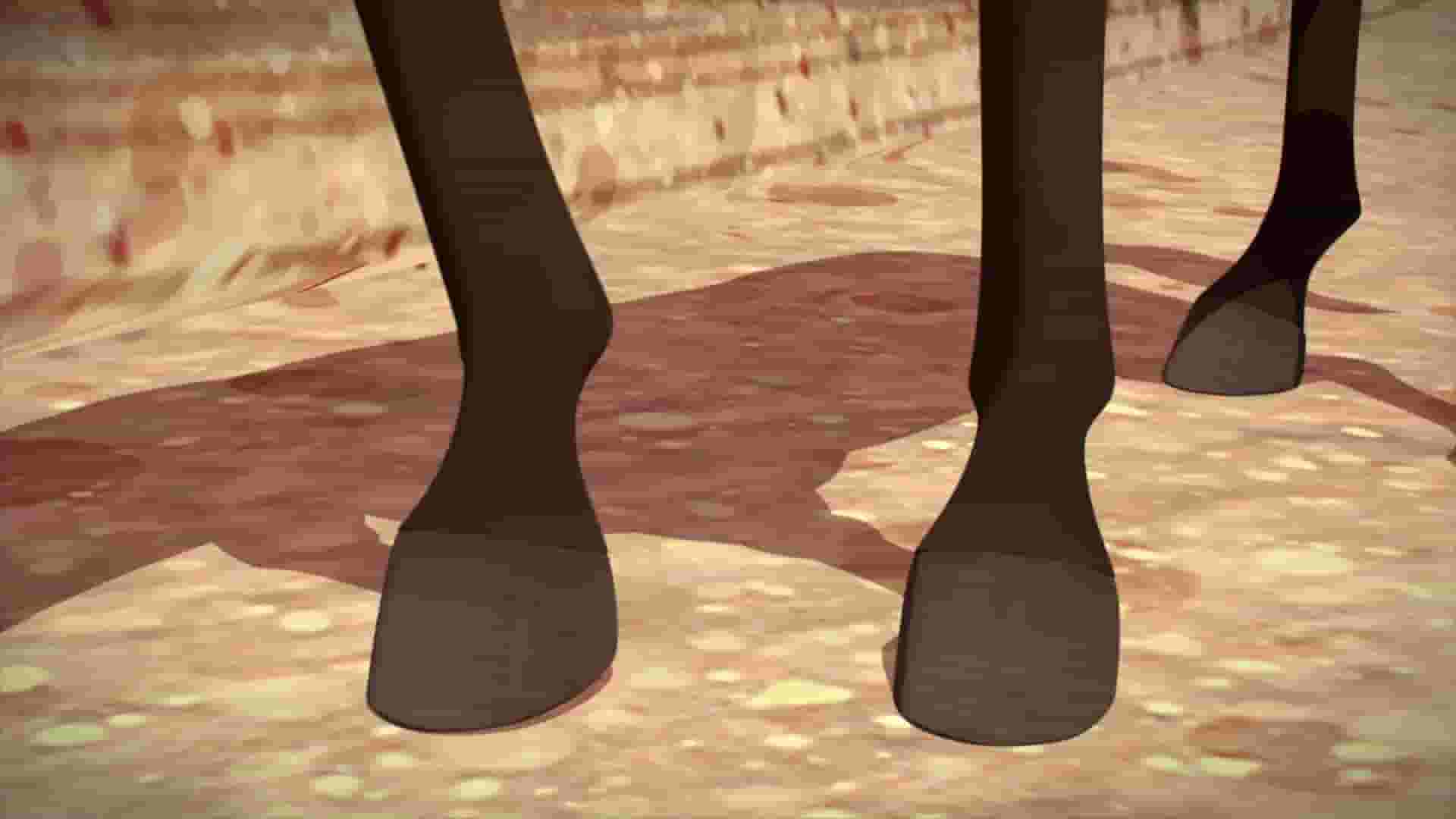 پخش فیلم