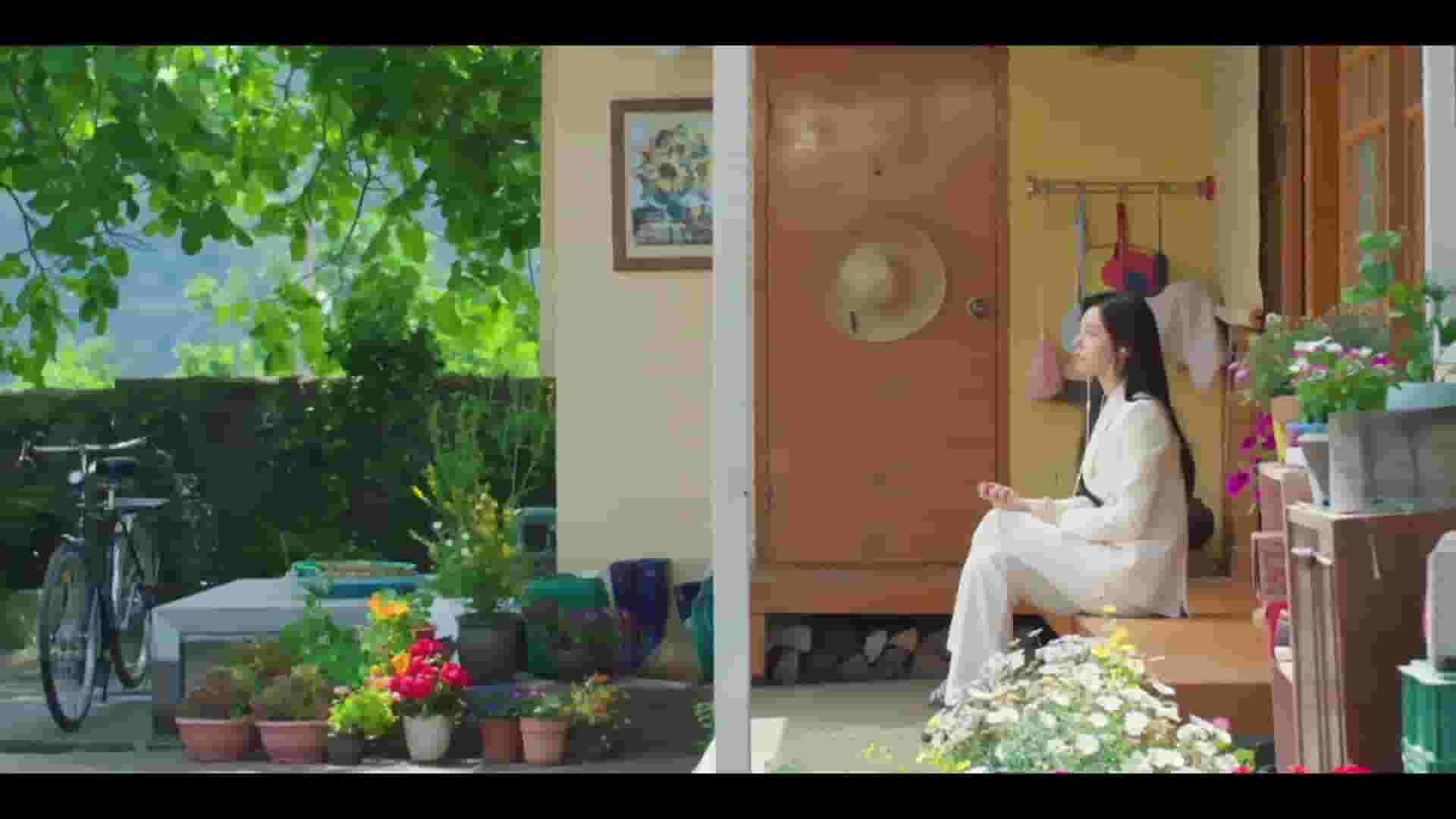 پخش فیلم
