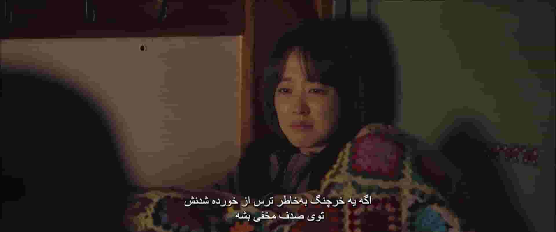 پخش فیلم