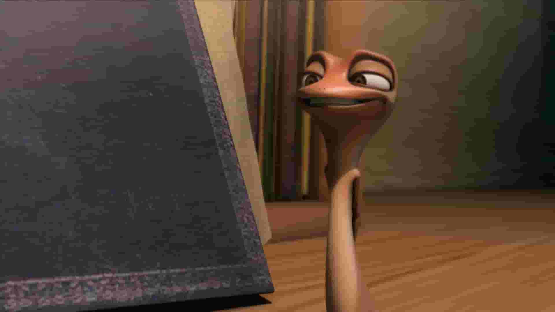 پخش فیلم
