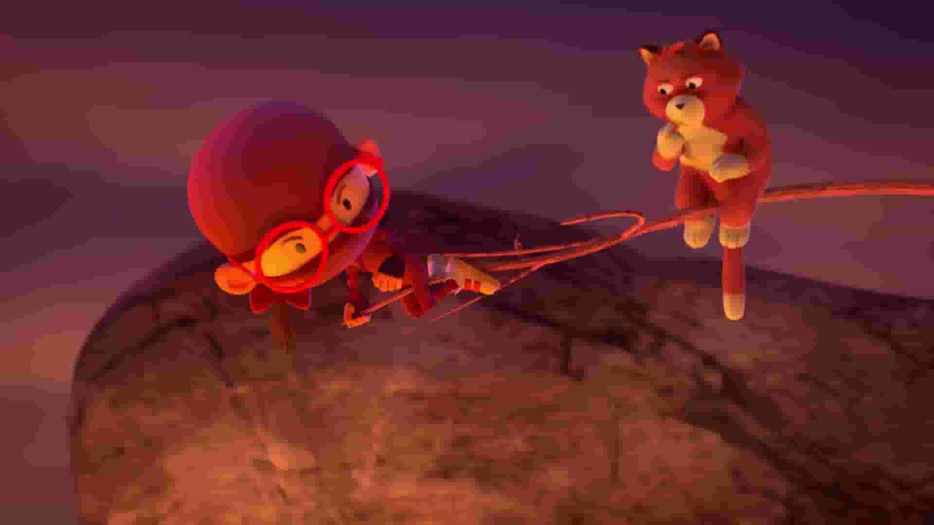 پخش فیلم