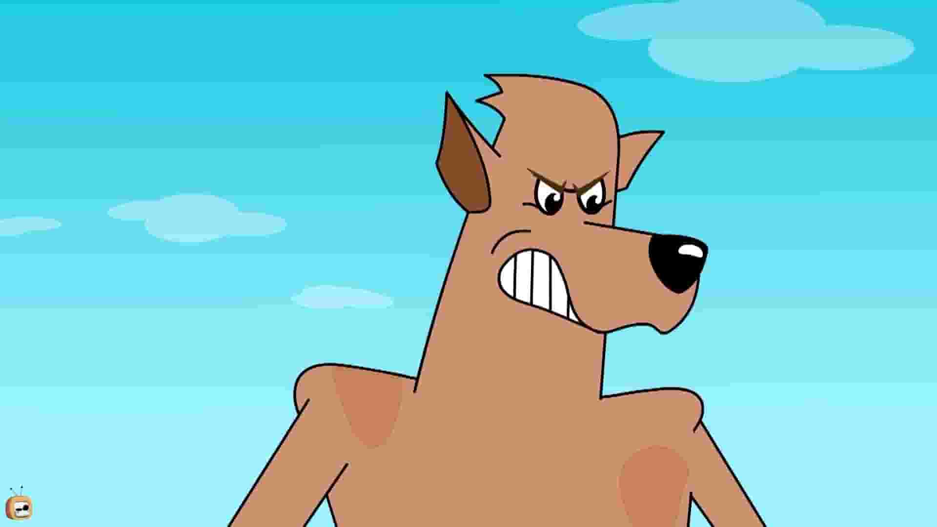 پخش فیلم