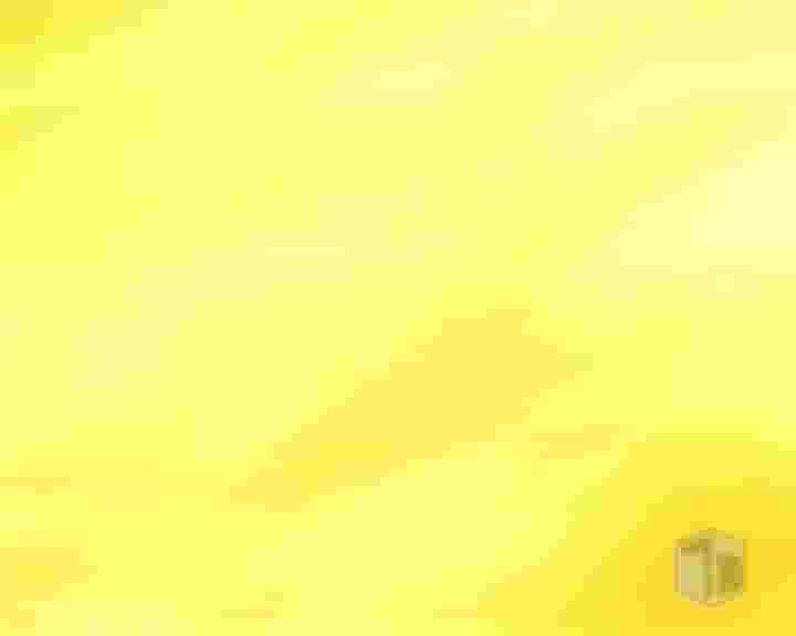 پخش فیلم