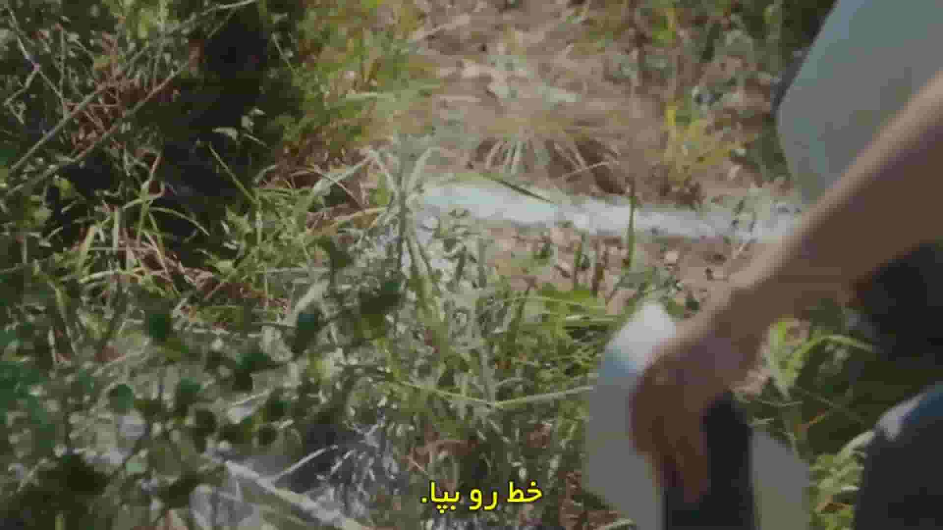 پخش فیلم