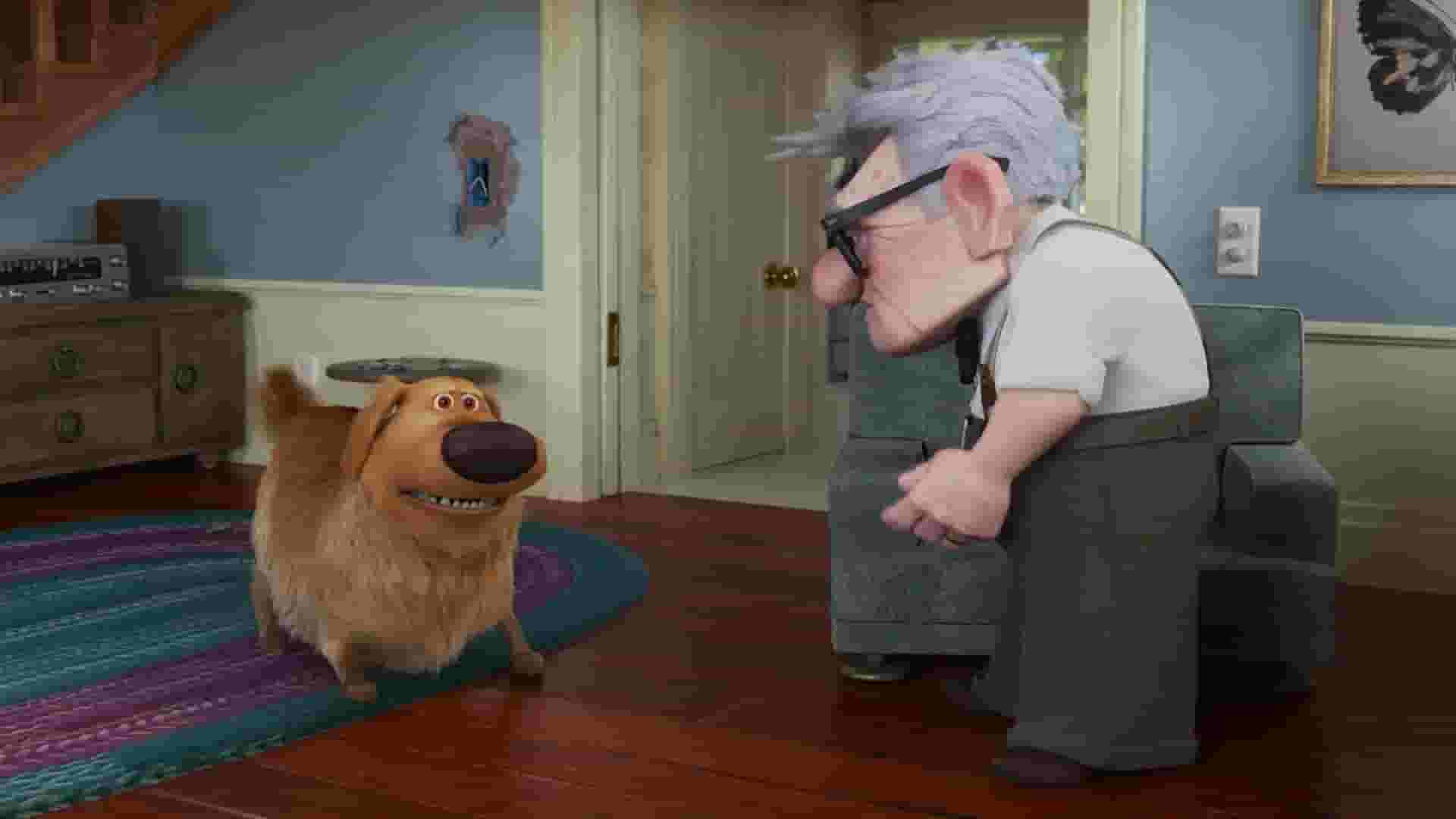 پخش فیلم