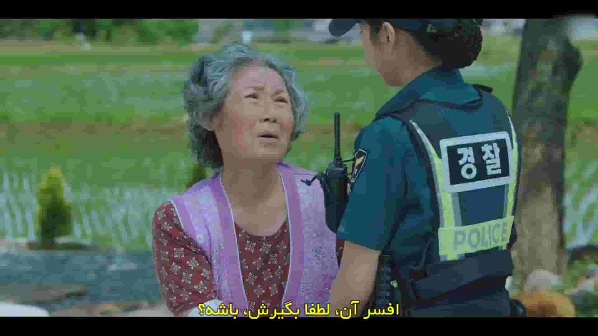 پخش فیلم