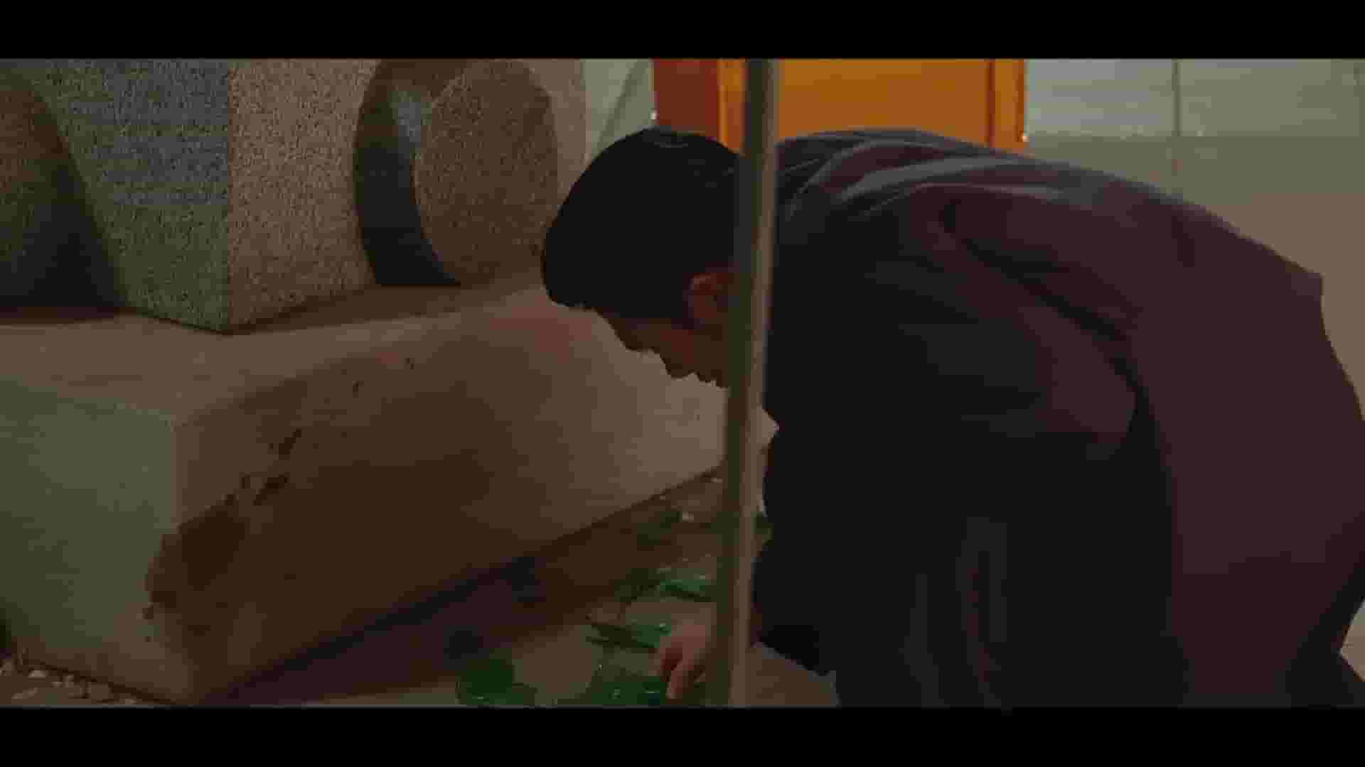 پخش فیلم