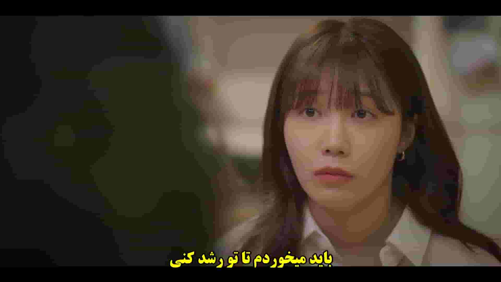 پخش فیلم