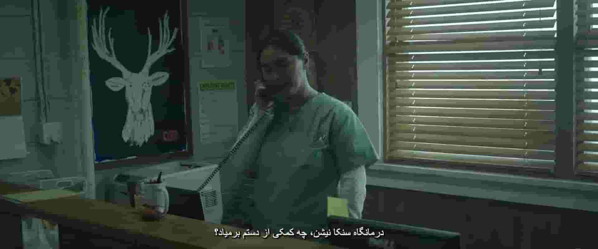 پخش فیلم