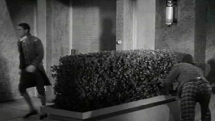 نقد و بررسی فیلم سوپ اردک محصول سال 1933 | چی‌بینو
