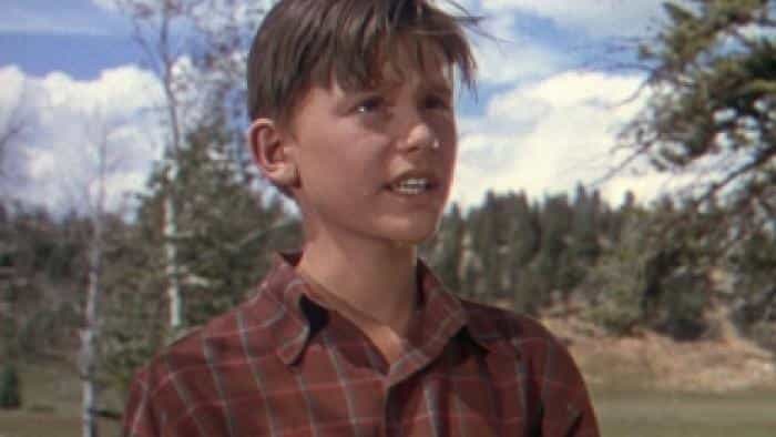 نقد و بررسی فیلم دوست من فلیکا محصول سال 1943 | چی‌بینو