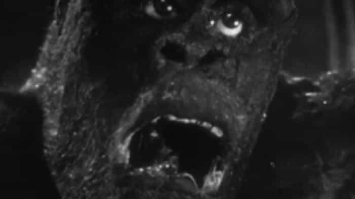 نقد و بررسی فیلم جو جوانمرد محصول سال 1949 | چی‌بینو
