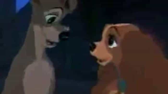 تماشای انیمیشن بانو و ولگرد 1 محصول سال 1955 | چی‌بینو