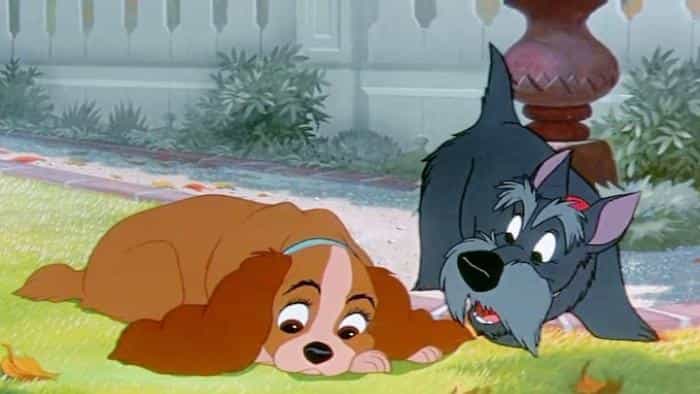 تماشای انیمیشن بانو و ولگرد 1 محصول سال 1955 | چی‌بینو