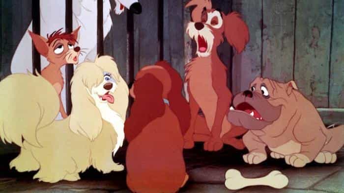 تماشای انیمیشن بانو و ولگرد 1 محصول سال 1955 | چی‌بینو