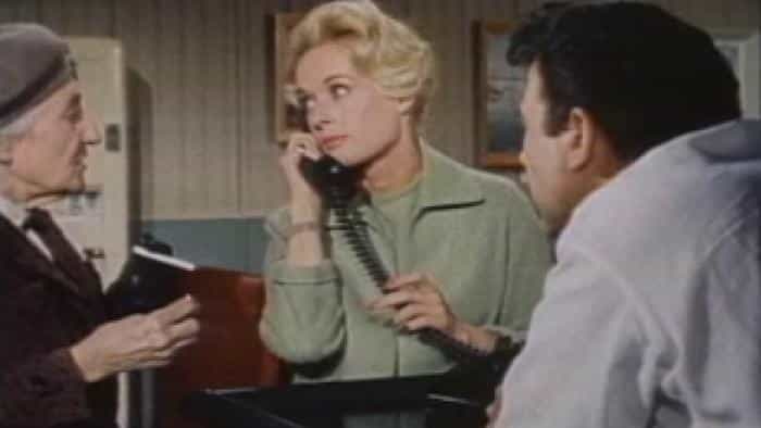 نقد و بررسی فیلم پرندگان محصول سال 1963 | چی‌بینو