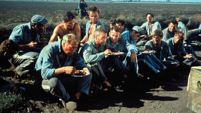 نقد و بررسی فیلم لک دست خنک محصول سال 1967 | چیبینو