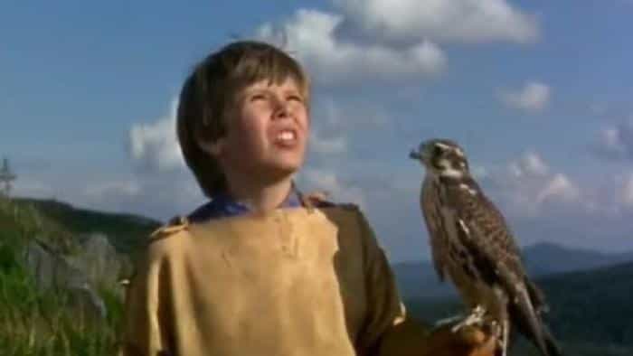 نقد و بررسی فیلم کوهستان من محصول سال 1969 | چی‌بینو