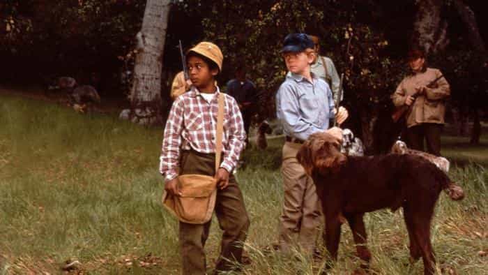 نقد و بررسی فیلم خورنده بیسکویت محصول سال 1972 | چی‌بینو