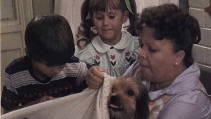 نقد و بررسی فیلم بنجی محصول سال 1974 | چی‌بینو