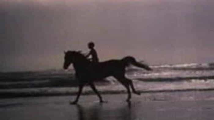 نقد و بررسی فیلم اسب سیاه محصول سال 1979 | چی‌بینو