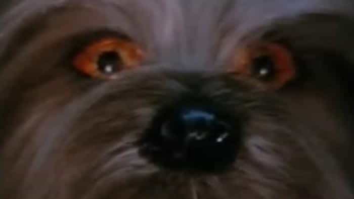 نقد و بررسی فیلم ماشین هوشمند چندمنظوره م...(1979) | چیبینو