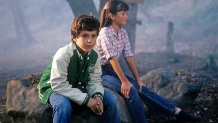 نقد و بررسی سریال سال‌های شگفت‌انگیز (1988) | چی‌بینو