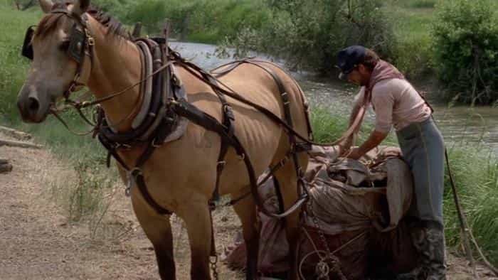 تماشای فیلم رقصنده با گرگ ها محصول سال 1990 | چی‌بینو