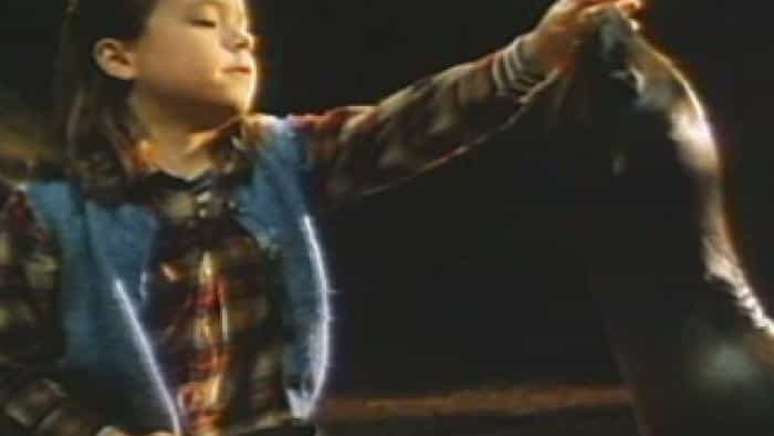 نقد و بررسی فیلم آندره محصول سال 1994 | چی‌بینو
