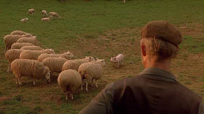 نقد و بررسی فیلم عزیزم محصول سال 1995 | چی‌بینو