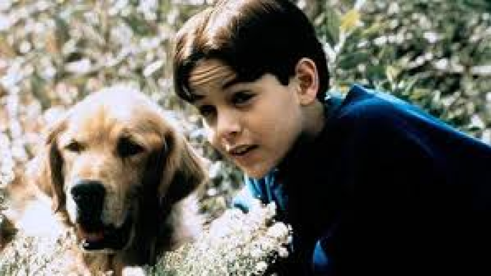 نقد و بررسی فیلم سگ ارواح من محصول سال 1997 | چی‌بینو