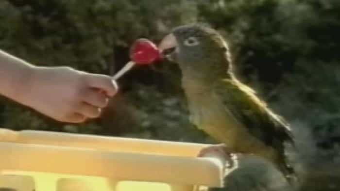 نقد و بررسی فیلم پائولی محصول سال 1998 | چی‌بینو