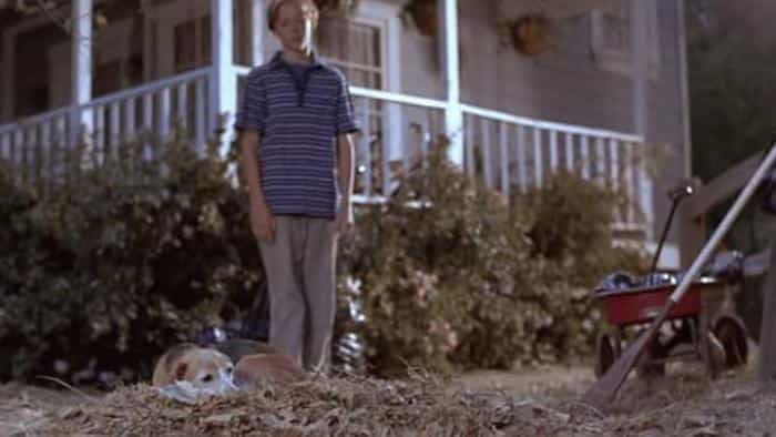 نقد و بررسی فیلم شیلوه ۲: فصل شیلوه محصول سال 1999 | چی‌بینو