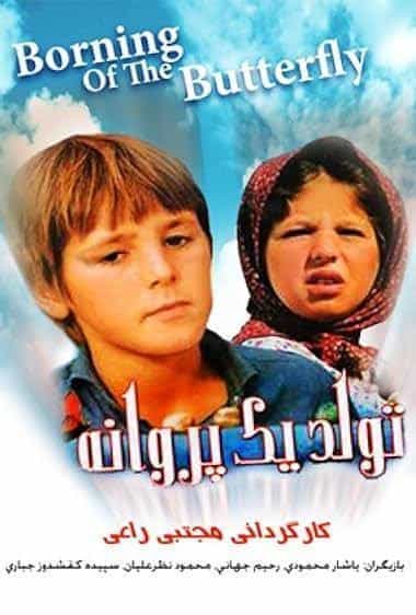 تولد پروانه