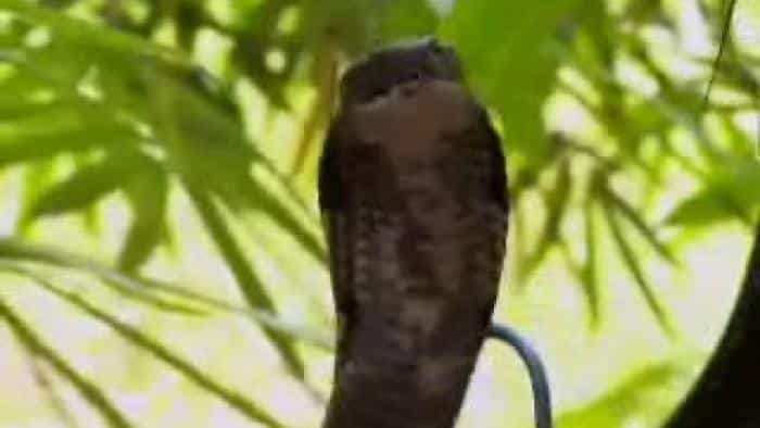 نقد و بررسی سریال تجربه جف کوروین محصول سال 2001 | چی‌بینو