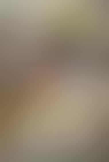 خاطرات موتورسیکلت