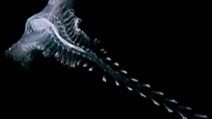 تماشای فیلم آبی ژرف محصول سال 2003 | چیبینو