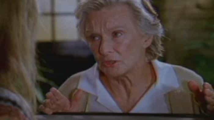 نقد و بررسی فیلم اسپانگلیش محصول سال 2004 | چیبینو