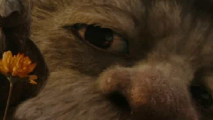 تماشای فیلم مکس در قلمرو وحش محصول سال 2009 | چی‌بینو