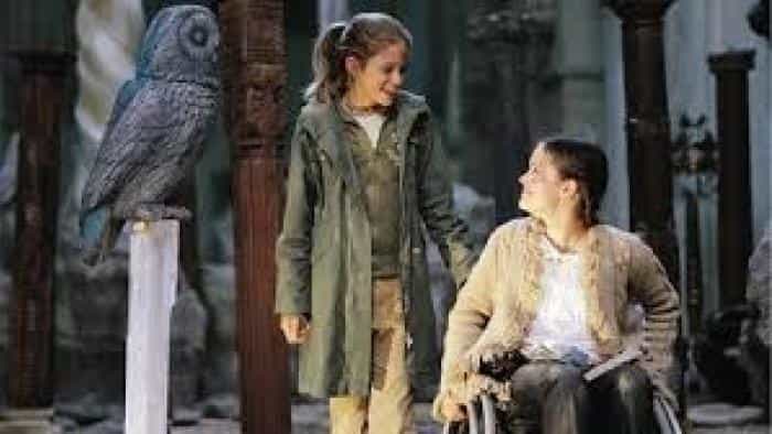 نقد و بررسی فیلم بیبی بلاکسبورگ و راز جغدهای آبی (2004)