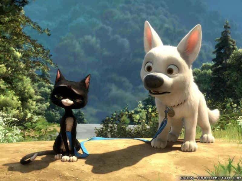 تماشای انیمیشن تیزپا محصول سال 2008 | چی‌بینو