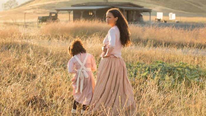 تماشای سریال وست‌ورلد محصول سال 2016 | چی‌بینو