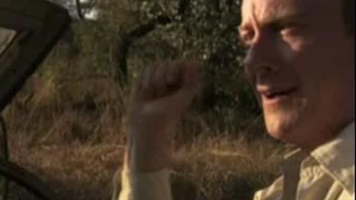 نقد و بررسی سریال قلب وحشی محصول سال 2006 | چی‌بینو
