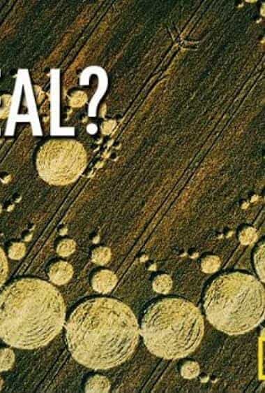 آیا واقعی است؟
