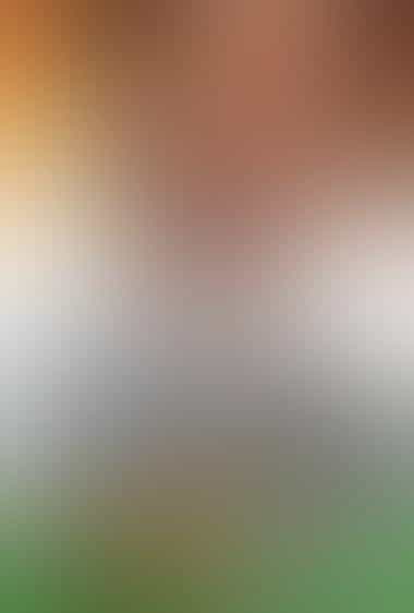 «به پیش، هند!»