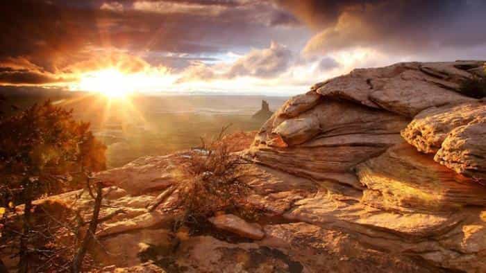 نقد و بررسی سریال زندگی محصول سال 2007 | چی‌بینو